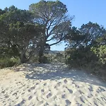 Dans Petite Résidence Avec Piscine à 10 Minutes Des Plages Proche Vecchio Hébergement de vacances Porto-Vecchio (Corsica)
