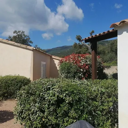 Dans Petite Avec Piscine A 10 Minutes Des Plages Proche Vecchio *