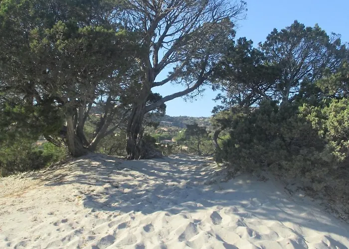Dans Petite Avec Piscine A 10 Minutes Des Plages Proche Vecchio Tatil Evi Porto-Vecchio (Corsica)