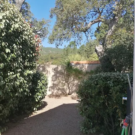 Dans Petite Avec Piscine A 10 Minutes Des Plages Proche Vecchio *