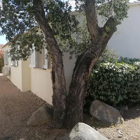 Dans Petite Avec Piscine A 10 Minutes Des Plages Proche Vecchio ポルトヴェッキオ