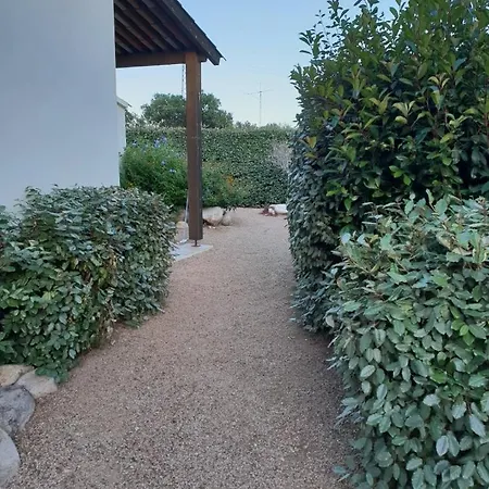 Tatil Evi Dans Petite Avec Piscine A 10 Minutes Des Plages Proche Vecchio