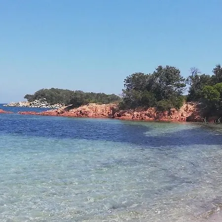 Dans Petite Avec Piscine A 10 Minutes Des Plages Proche Vecchio * ポルトヴェッキオ