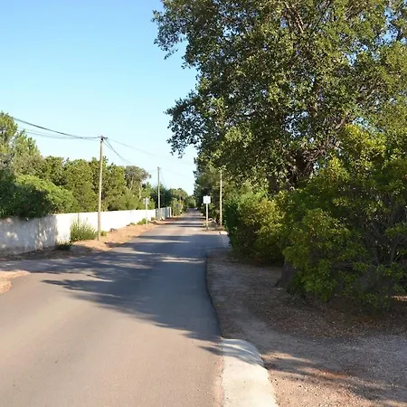 Dans Petite Avec Piscine A 10 Minutes Des Plages Proche Vecchio 別荘