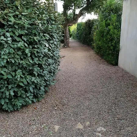 Dans Petite Avec Piscine A 10 Minutes Des Plages Proche Vecchio * ポルトヴェッキオ