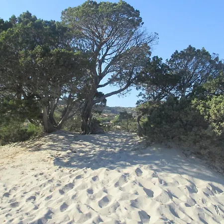 Dans Petite Avec Piscine A 10 Minutes Des Plages Proche Vecchio 別荘 ポルトヴェッキオ