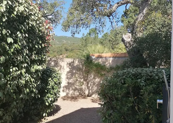 Dans Petite Avec Piscine A 10 Minutes Des Plages Proche Vecchio *