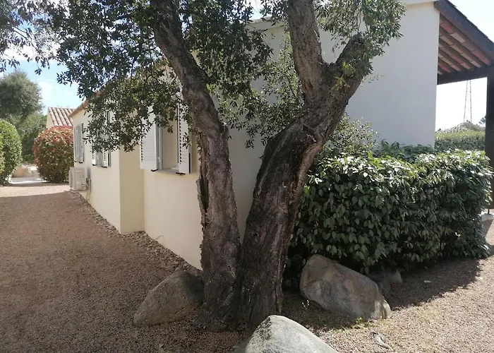 Dans Petite Avec Piscine A 10 Minutes Des Plages Proche Vecchio Porto-Vecchio (Corsica)