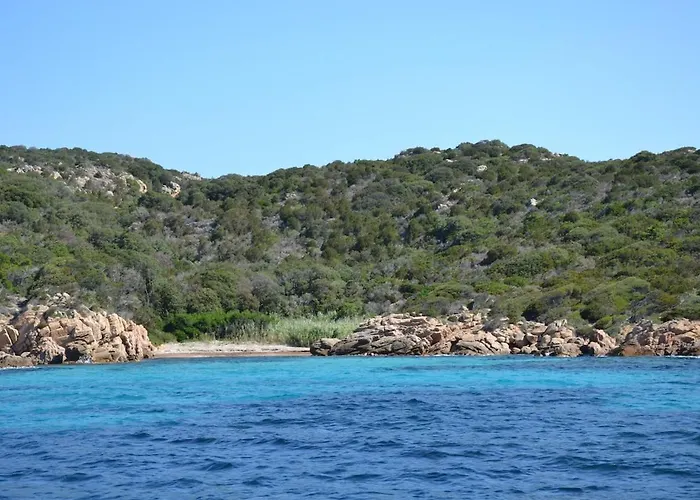 Holiday home Dans Petite Avec Piscine A 10 Minutes Des Plages Proche Vecchio